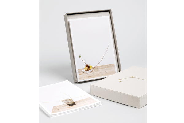 One flower, one leaf