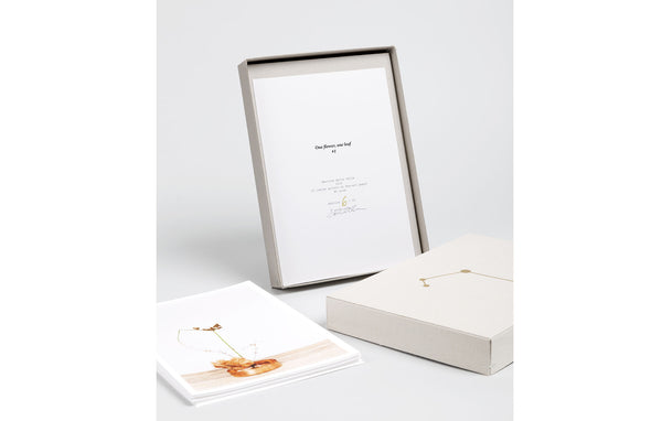 One flower, one leaf