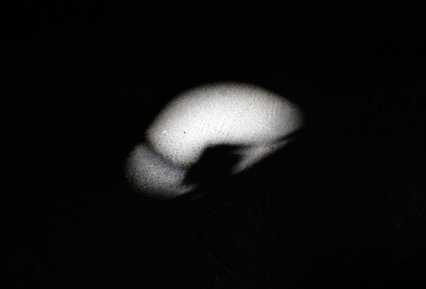 Dar paso a lo desconocido / Make way for the unknown