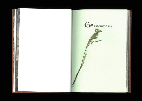 Ge(ssenwiese), K(anigsberg)