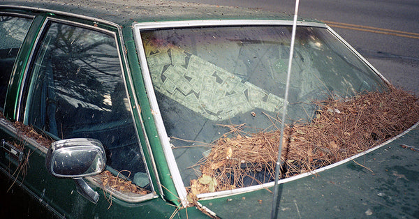 I've Always Been a Cowboy in My Heart