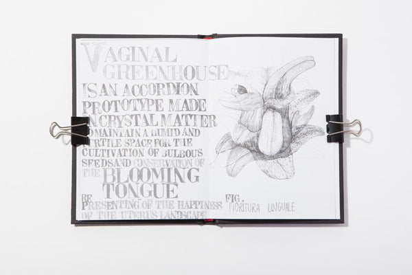 Sintesi anatomica