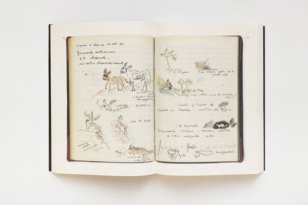 The Arrow of Time. Notes from a Russian Journey 1989-1990