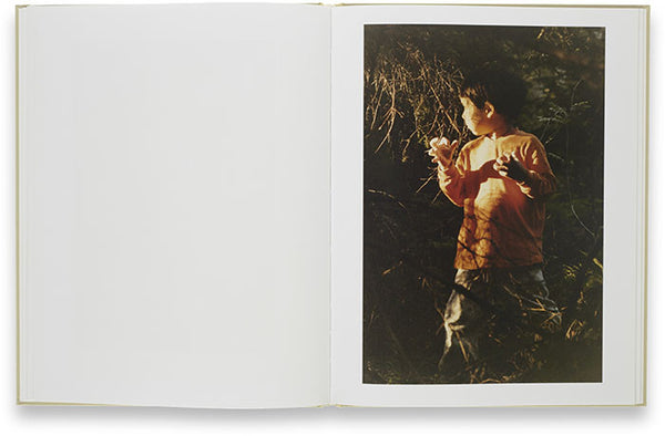 Waiting some birds a bus a woman & Spidernets places a crew