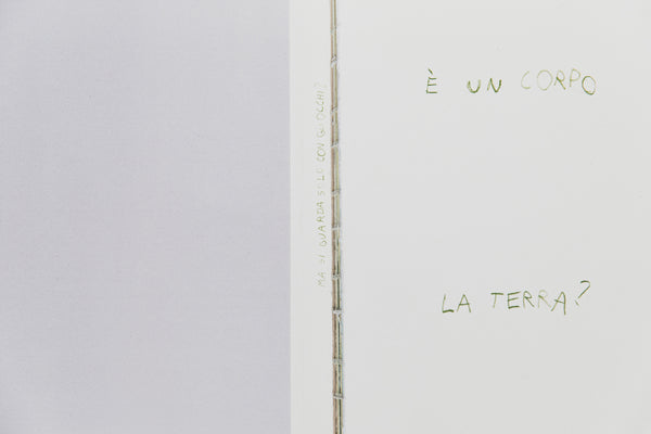 È un corpo la terra?