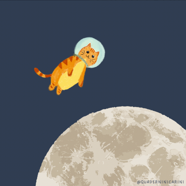 Space Cat Notebook