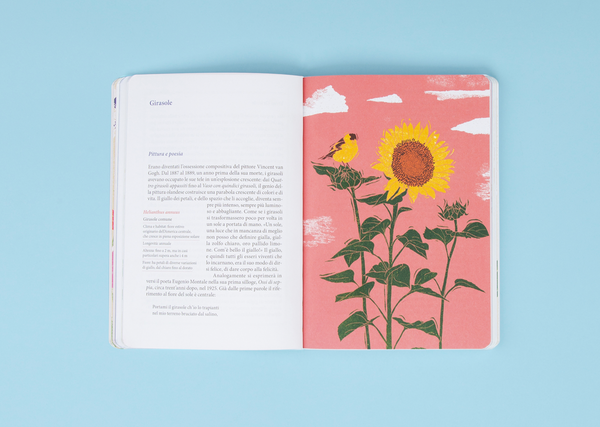 Piccolo manuale illustrato per cercatori di fiori