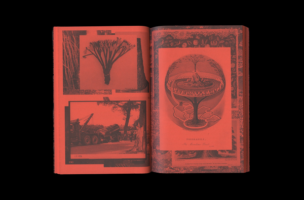 a Tree, A Reader on Arboreal Kinship