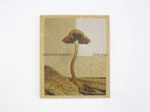 Fruiting Bodies
