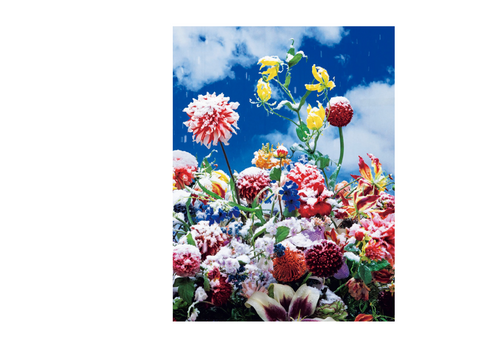 Eternity in a Moment Vol. 1
