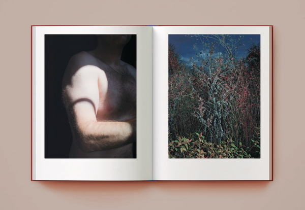 All Empires Will Fall