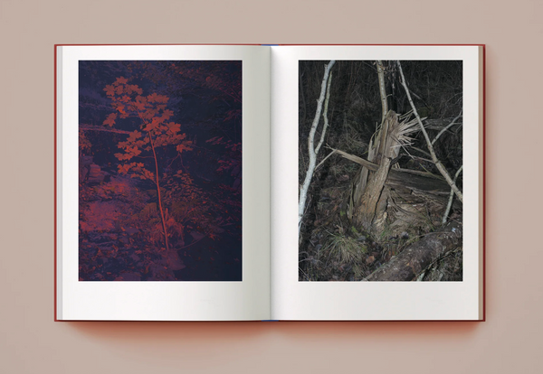 All Empires Will Fall