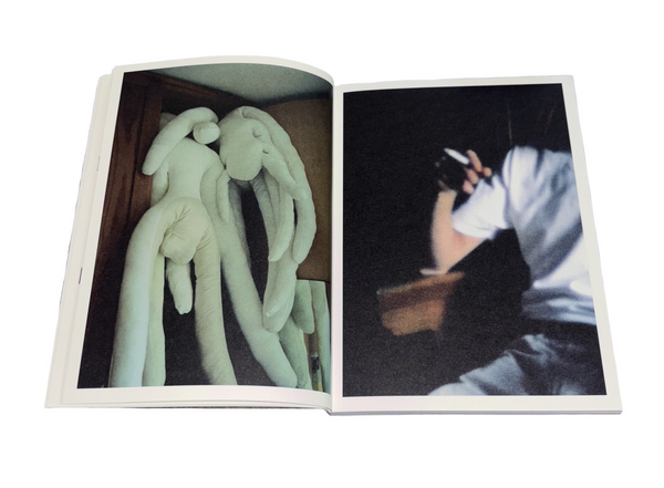 Amongst the More Irritating Minor Ideas