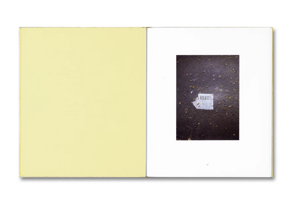 Luigi Ghirri. Felicità