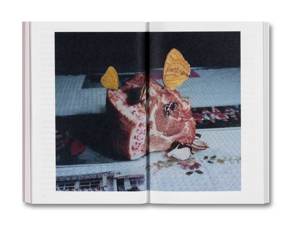 The Devouring Eye: Photography and the Mouth