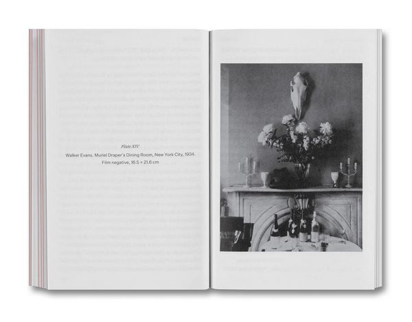 The Devouring Eye: Photography and the Mouth