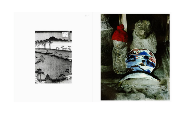 Tokyo Fishgraphs II