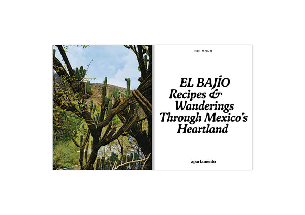 El Bajío: Recipes & Wanderings