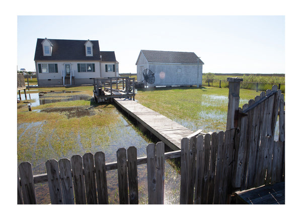 Tangier Island